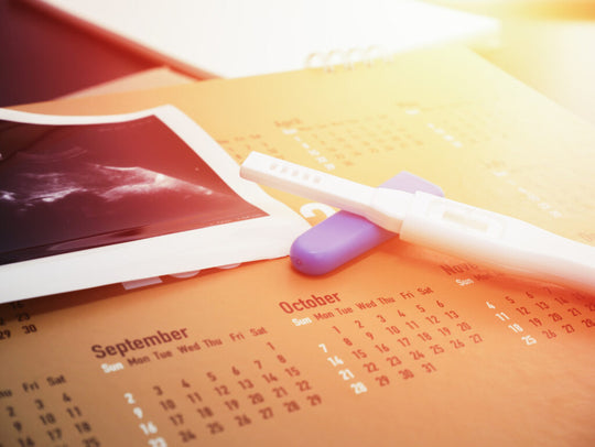 COVID-19’s Impact on Fertility Treatments, Birth Plans, and Pregnancy in America [Updated July 28, 2020]