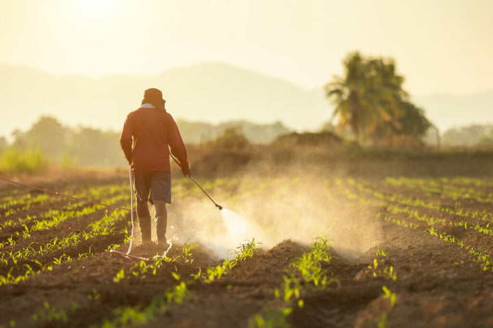 Pesticides in Your Food and Reduced Fertility